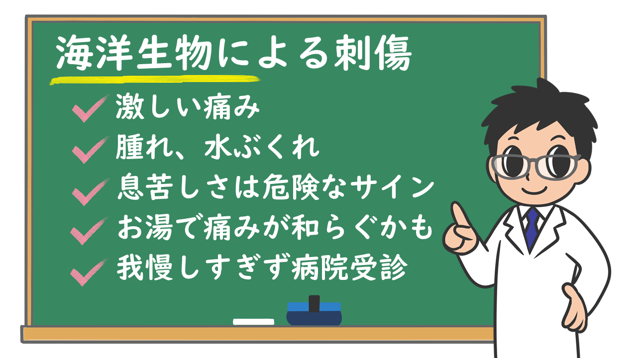 海洋生物による刺傷 どんな病気 どんなとき受診が必要 株式会社プレシジョン