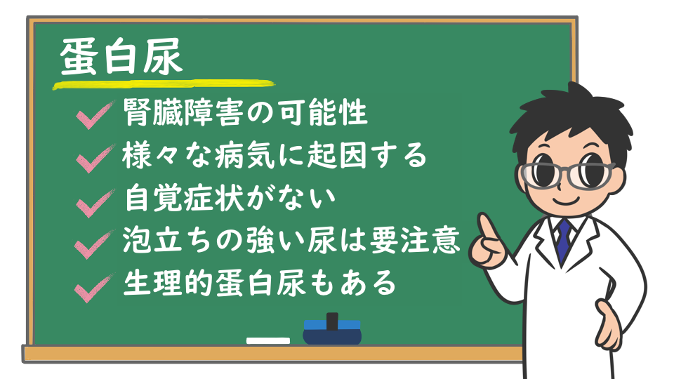 蛋白尿 蛋白尿って何 原因は どんな病気があるの 必要な検査は 株式会社プレシジョン