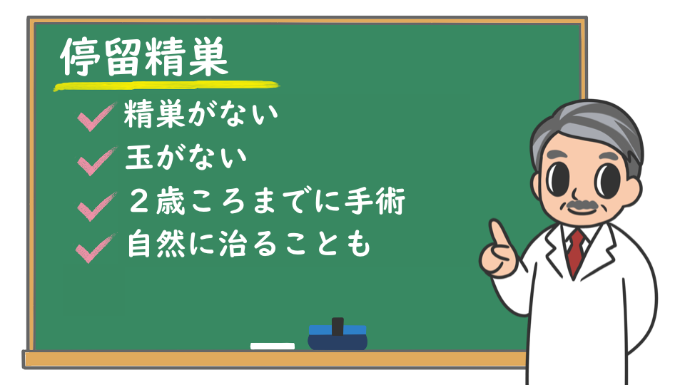 停留精巣 どんな病気 起こしやすい時期は 検査や治療は 手術は必要 株式会社プレシジョン