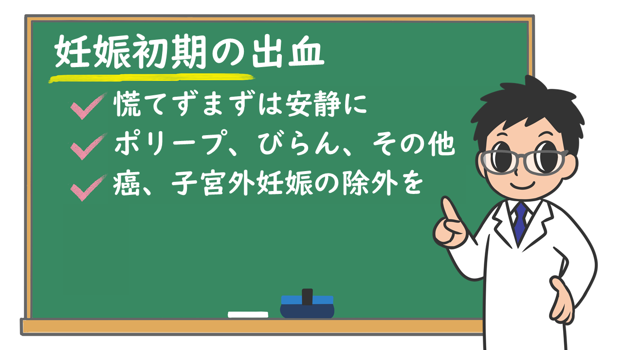 週 目 出血 妊娠 8 妊娠8週目です。7週目の時に鮮血が出ましたが、先生には「大丈夫、心拍も確