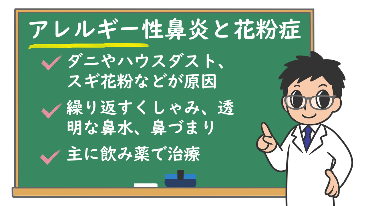 アレルギー性鼻炎と花粉症 どんな病気 検査や治療は どれぐらいで治るの 株式会社プレシジョン